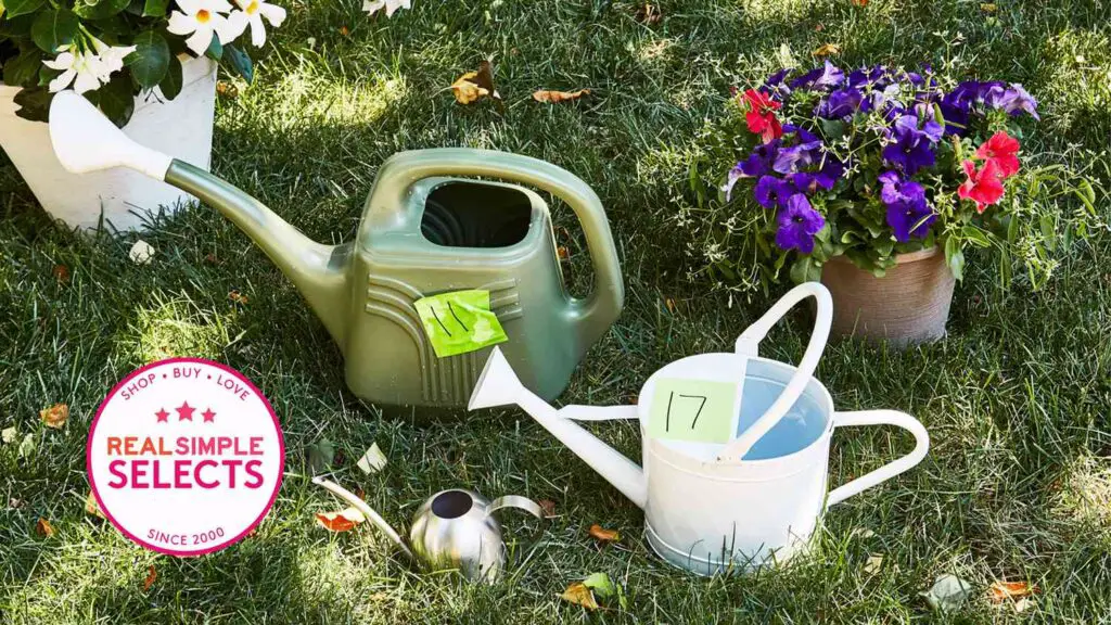 Mintra Home Watering Can - (Light Blue), 2 Liters, 1/2 Gallon/ 68 oz, Ideal for Planting Flowers, Gardening, Plants, Durable, Indoor, Outdoor, Patio, Lawn and Garden
