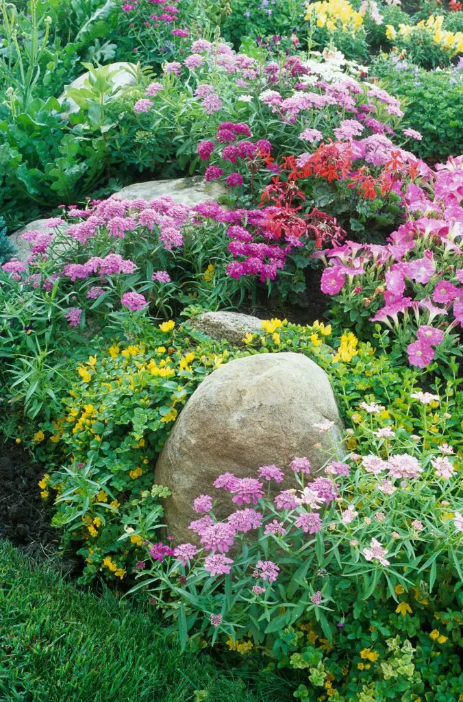 Top Garden Trends: Cottage Gardens Featuring Colorful Blooms Cottage Gardens Featuring Colorful and Fragrant Blooms