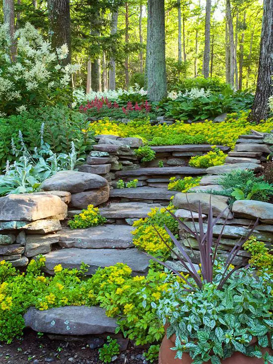 10 Beautiful Wooded Backyard Landscaping Ideas Natural Wooded Backyard