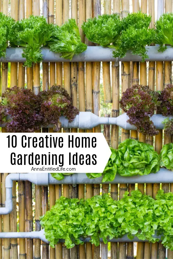 10 Creative Gardening Ideas 2. Recycled Containers