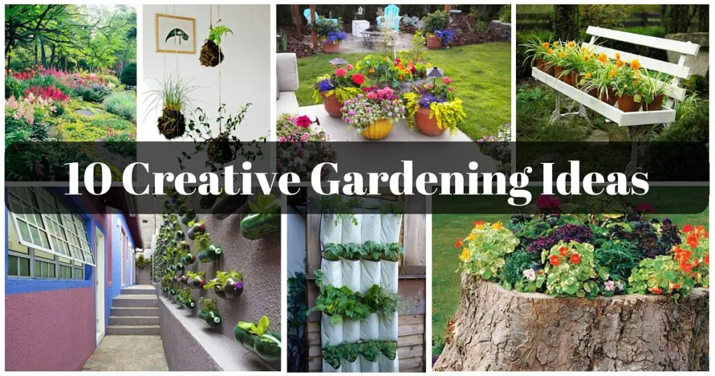 10 Creative Gardening Ideas 6. Creative Planters
