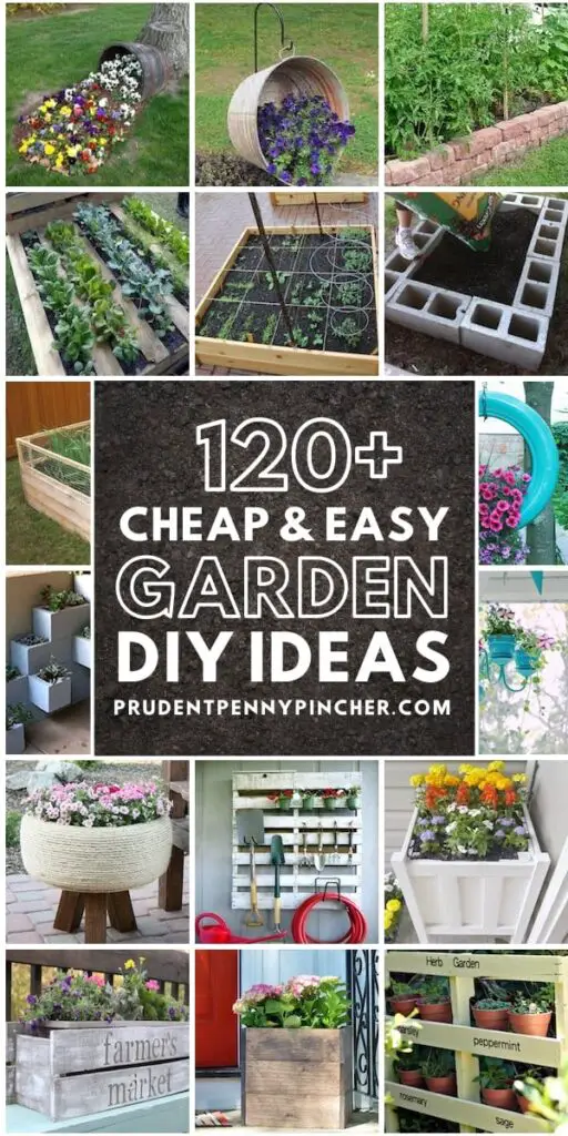 10 Creative Gardening Ideas on a Budget 4. Container Gardening