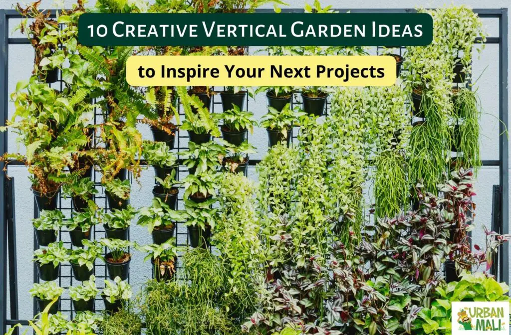10 Creative Urban Gardening Ideas 1. Container Gardening