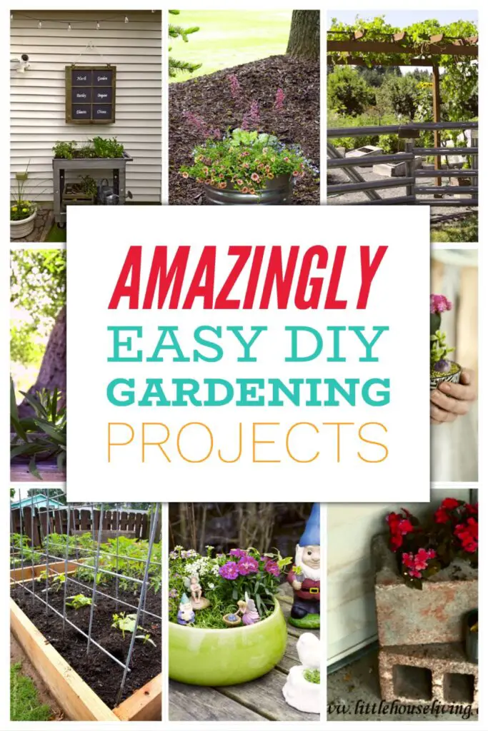 10 Easy Gardening Ideas for Beginners Choosing the Right Location