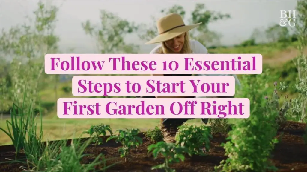 10 Easy Gardening Ideas for Beginners Herb Gardening