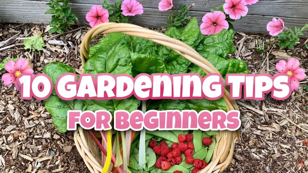 10 Essential Gardening Tips for Beginners Conclusion