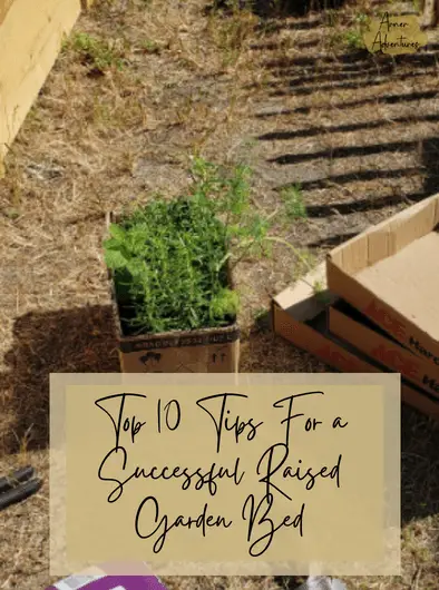 10 Essential Raised Bed Gardening Tips Conclusion