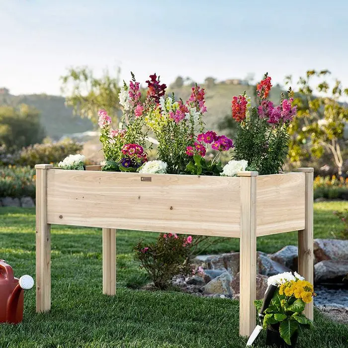 10 Essential Raised Bed Gardening Tips Watering and Irrigation