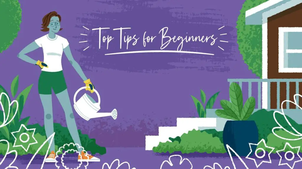 10 Flower Gardening Tips for Beginners Preparing the Soil