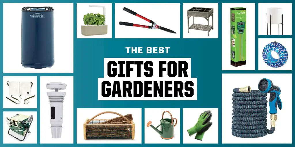 10 Must-Have Gifts for Yard Lovers Plants and Seeds