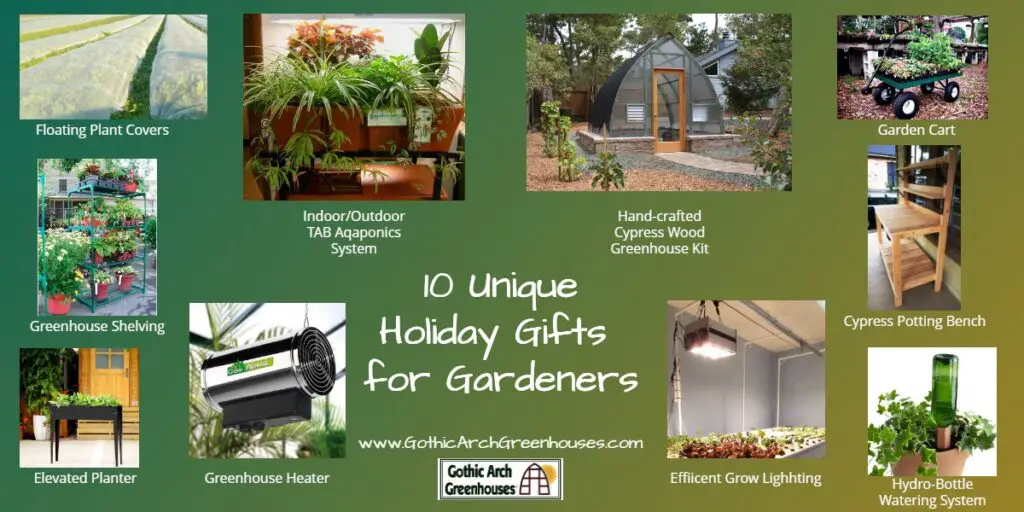 10 Unique Gardening Gifts for the Gardener Who Has Everything 5. Rare and Exotic Seeds