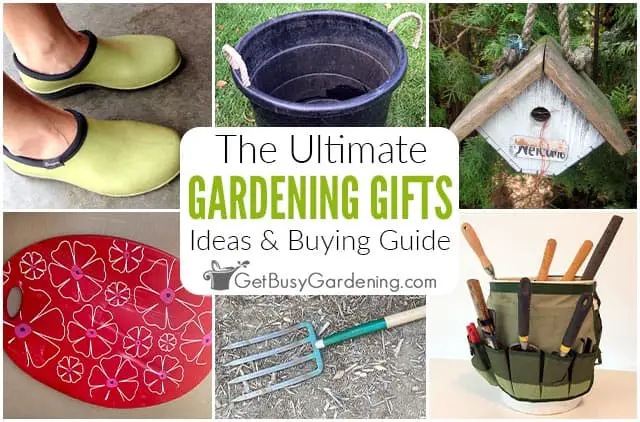10 Unique Gifts for Organic Gardeners Benefits of Organic Gardening