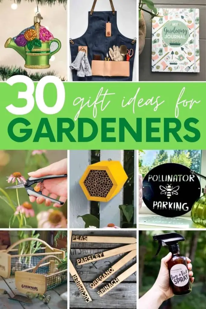 10 Unique Gifts for Organic Gardeners Factors to Consider