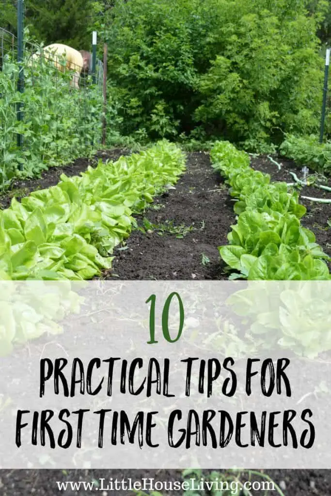 Essential First-Time Gardening Tips Conclusion