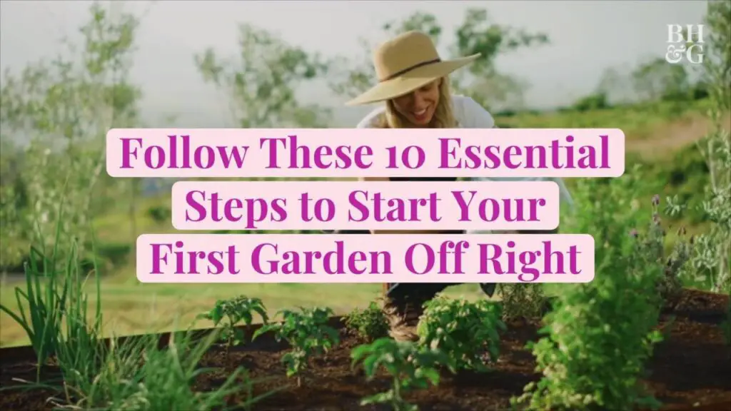 Essential First-Time Gardening Tips Nurturing your garden