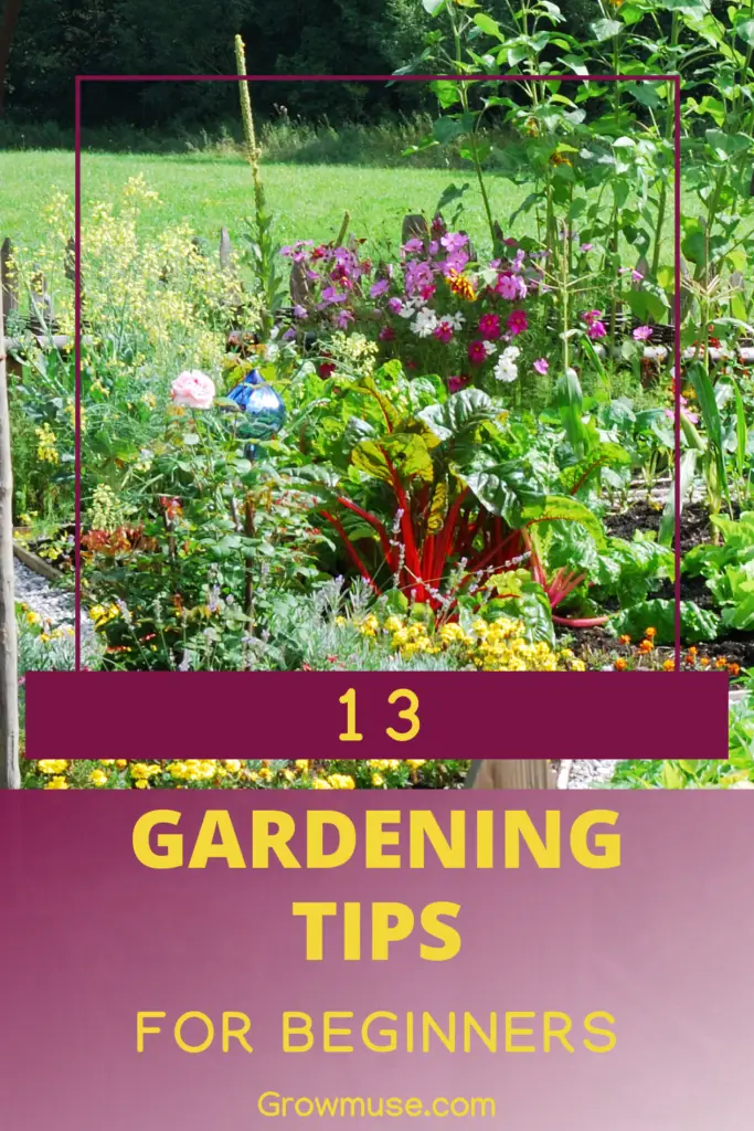 Essential Gardening Tips for Beginners Selecting the Right Plants