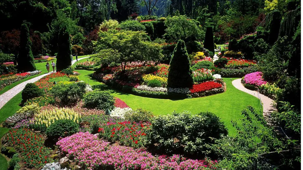 Exploring the Various Types of Landscaping Residential Landscaping