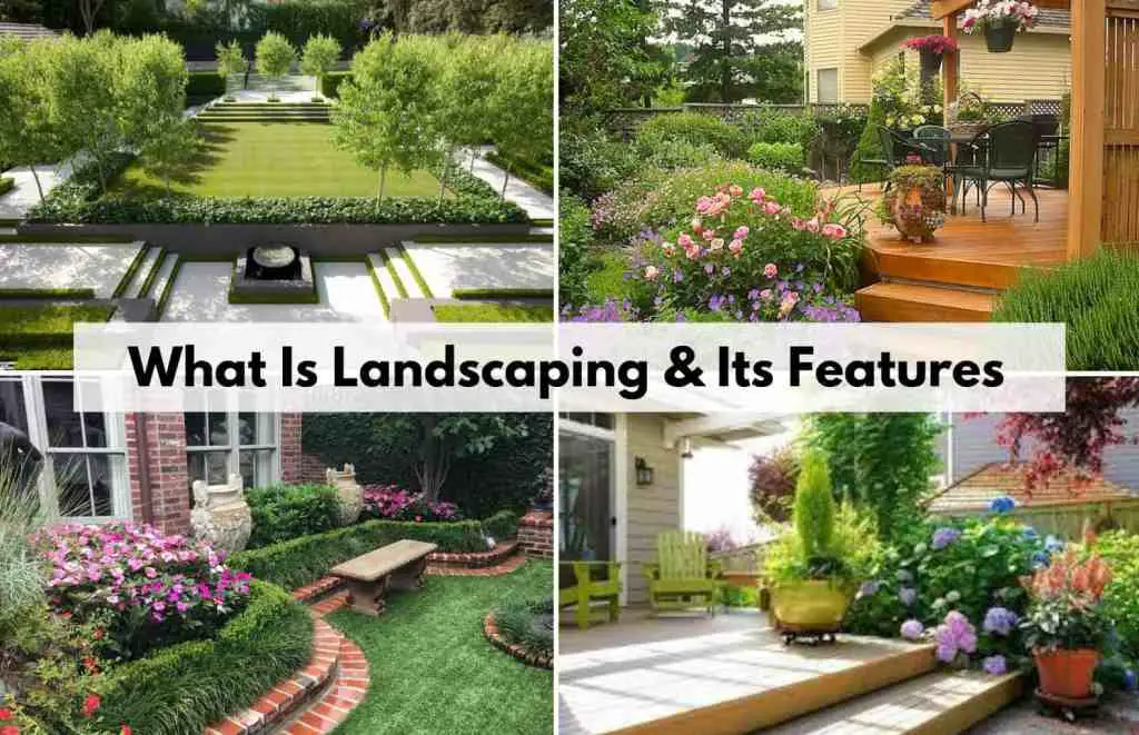 Exploring the Various Types of Landscaping Sustainable Landscaping