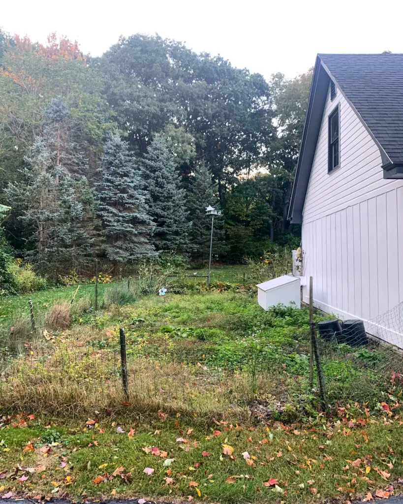 How To Clear A Vegetable Garden Full Of Weeds