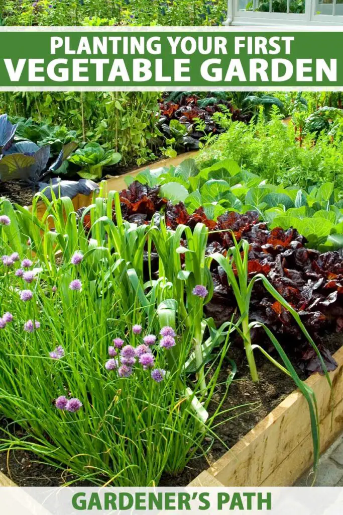 How To Prepare Vegetable Garden For Spring