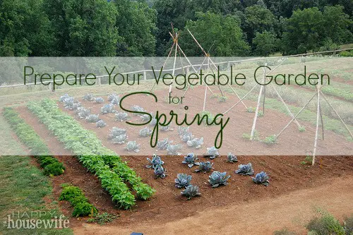 How To Prepare Vegetable Garden For Spring