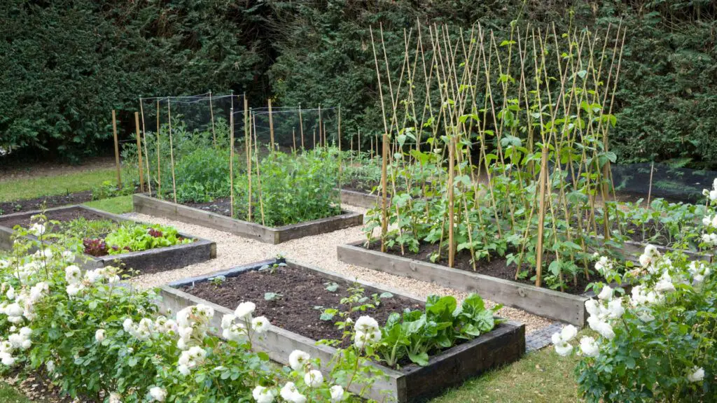 How To Prepare Vegetable Garden For Spring