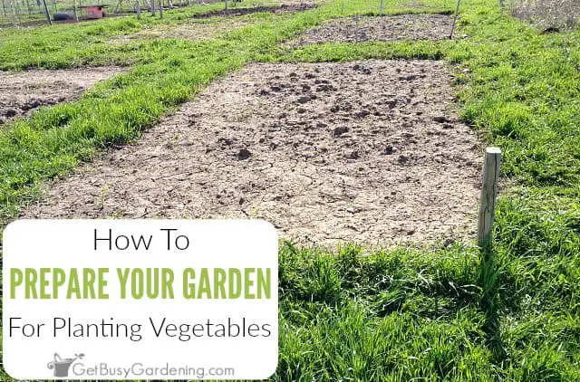 How To Prepare Vegetable Garden For Spring