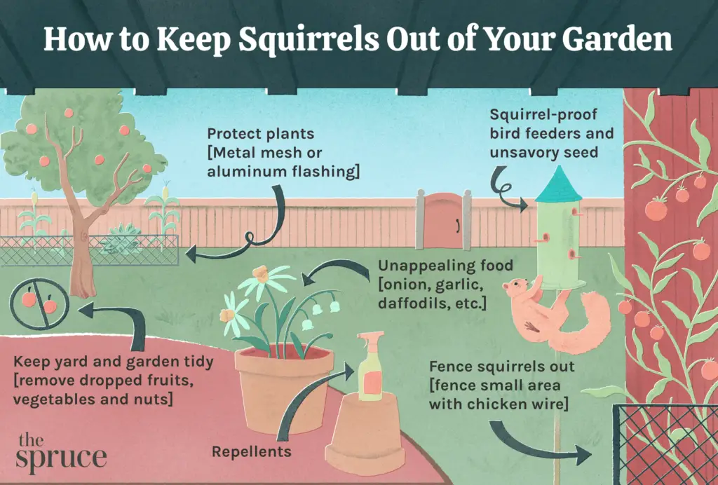 How To Protect Vegetable Garden From Squirrels