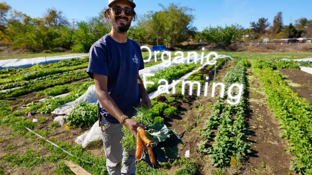 How To Start Organic Farming