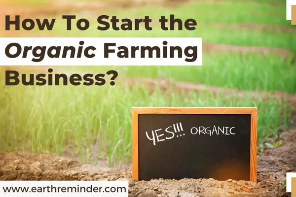How To Start Organic Farming