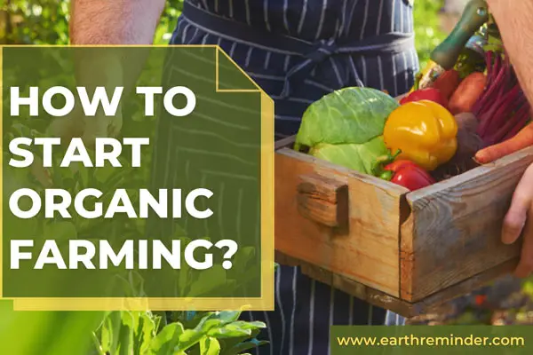 How To Start Organic Farming