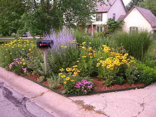 Landscaping Around Mailbox