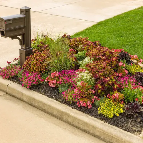 Landscaping Around Mailbox