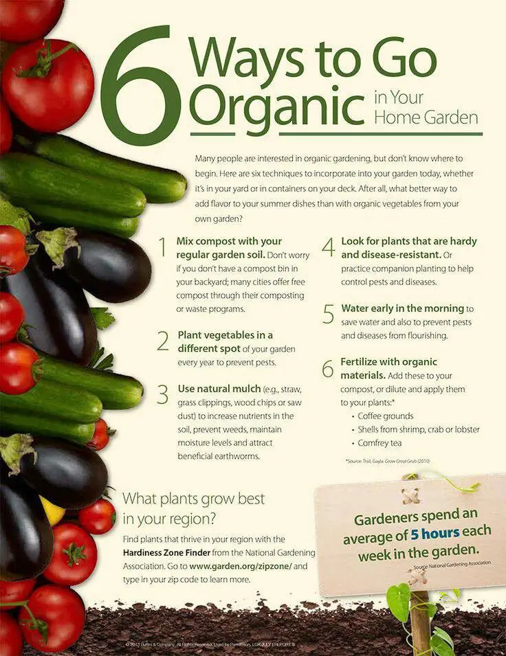 Organic Gardening Tips