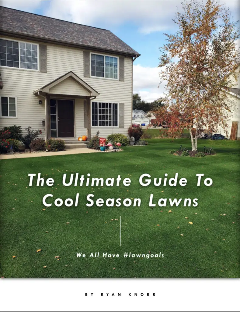 The Ultimate Guide to Lawn Care Step 3: Dealing with common lawn issues