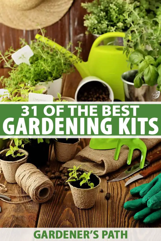 The Ultimate Guide to the Best Gardening Kit Conclusion